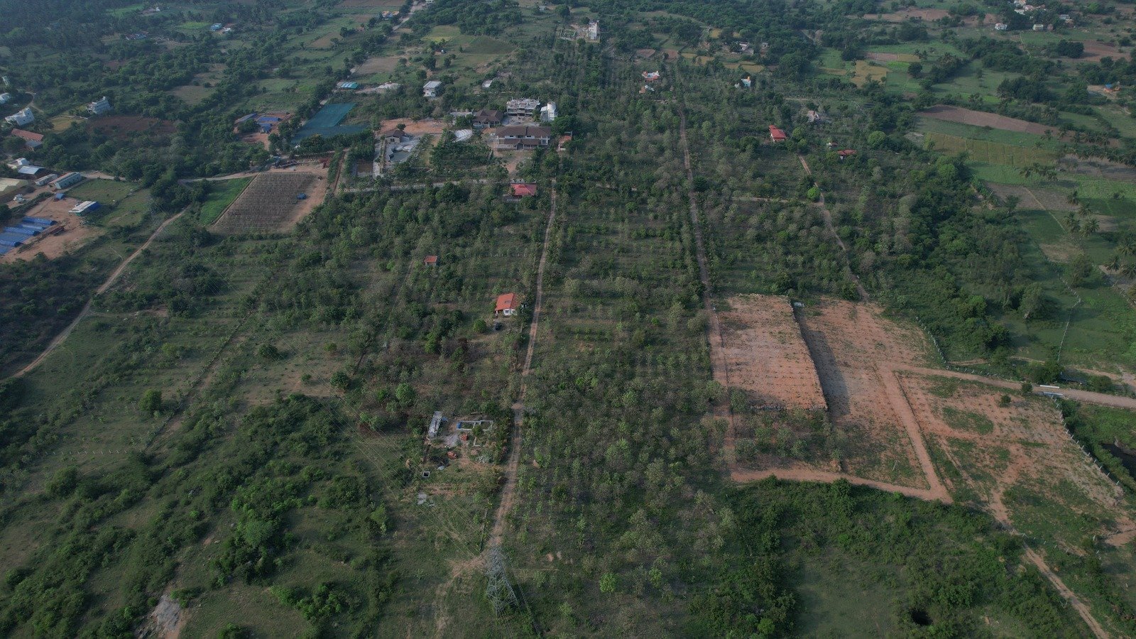 Plan 11